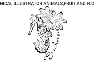 draw botanical animals,fruit,plant illustration line art