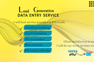 do accurate data entry, web research, and copypaste tasks
