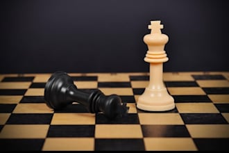 develop chess board game chess coach card game chess game ludo game development