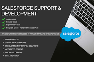 be your salesforce admin, development, and data migration expert