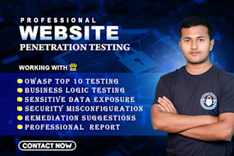 pentest and secure your web application with expert