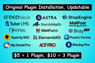 install crocoblock, acf pro, rank math pro, wpml, blocksy astra plugin updatable