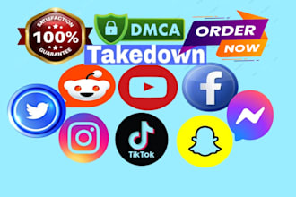 remove defaming, damaging posts ,mugshots on google reddit fb yt tiktok by dmca