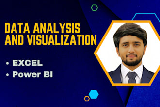 be your data analyst, data entry operator and visualization expert