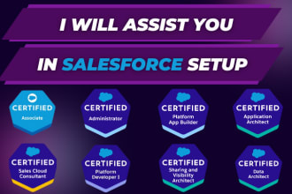 assist you in the salesforce setup