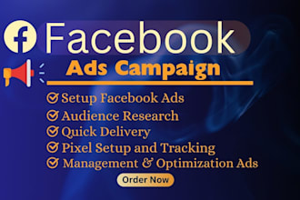 create a facebook ads campaign and fb advertising