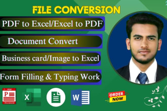 do any kind of file conversion, PDF to word or xsl, typing work