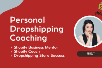 serve as your shopify mentor and coach for your dropshipping store