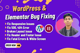 fix wordpress issues, elementor bug fix, responsive issue and website bug fixing