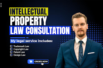 consult you on intellectual property law