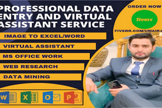 do data entry, web scraping, excel, typing, copy paste work