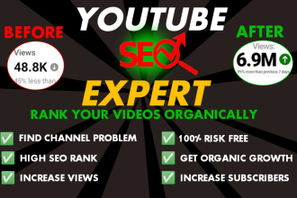 be your certified youtube SEO expert and yt specialist