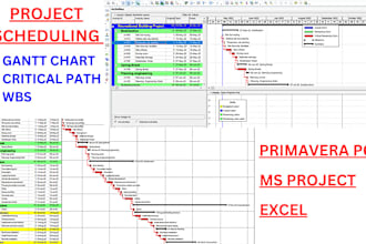 prepare project schedule on primavera p6 or ms project