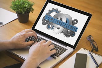 fix wordpress issues, problems or errors