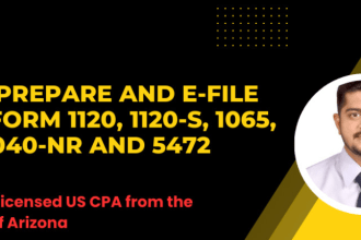prepare and efile form 1120, form 1065 and form 1040