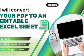 convert your PDF to an editable excel sheet