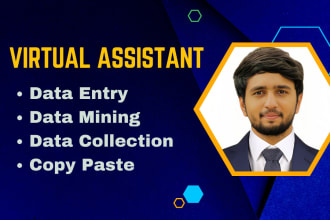 be your virtual assistant for data entry operator, data mining and web research