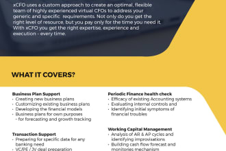 provide high impact cfo service