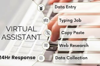 do data entry and copy paste work from india in a low price