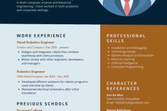 make professional CV and resume design on ms word or canva