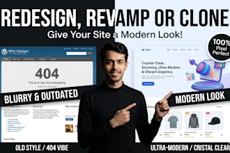redesign, revamp, or clone your wordpress website