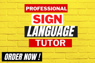 teach you basic sign language from novice to professional