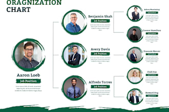 design organizational charts for your business within 24 hours
