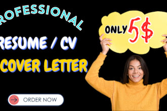 create professional resume cv design , cv writer , cv maker