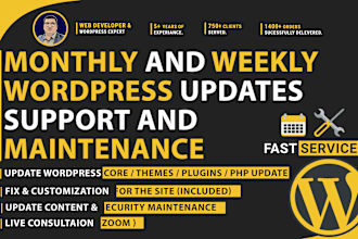 do weekly and monthly wordpress update and maintenance