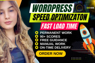 do wordpress speed optimization for google page speed insight