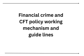 provide anti money laundering cft kyc and cdd solutions