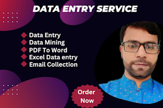 do b2b lead generation and data entry for any company