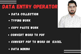 do data entry for any client with accuracy and time delivery