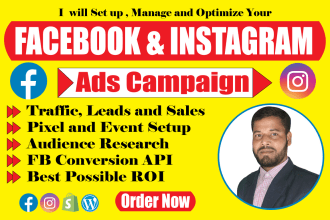 set up facebook ads campaign, manage fb ads, instagram marketing
