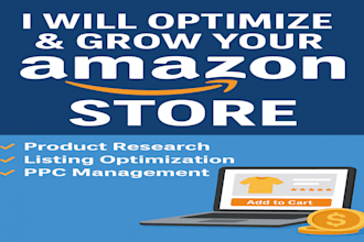do ecommerce consulting for the amazon store