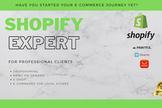 built your shopify store