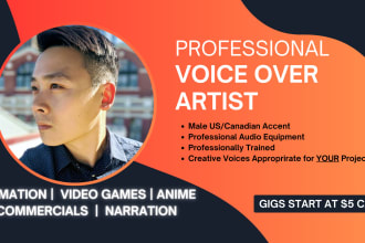 record high quality, american male voice over commercials at low cost