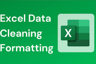 clean excel spreadsheet, excel data cleaning, data cleanup