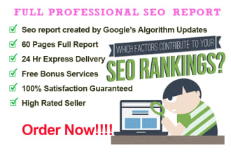 create a professional SEO audit report within 24 hours