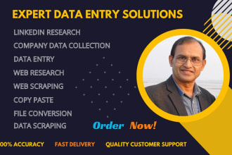 do expert data entry, linkedin and company research and more