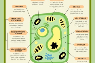 conduct classes for science esp biology and microbiology