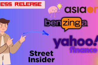 provide press release writing and publication
