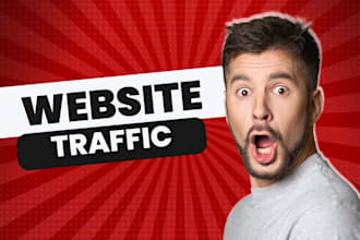 do dropshipping website promotion, website traffic