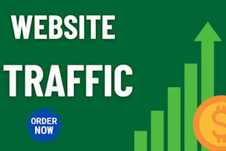 increase your website traffic with social media promotion