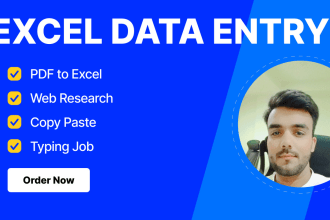 do excel data entry, convert pdf to excel and so more