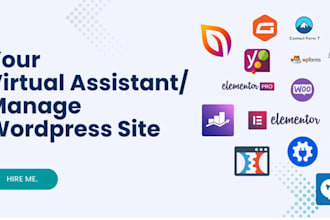 be your virtual assistant or manager for any wordpress task