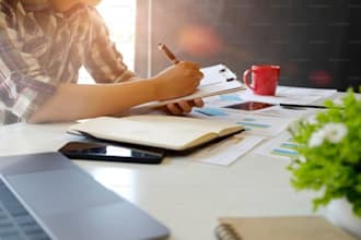 prepare profession business plan for startups, business plan and financial plan