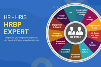 provide expert HR, hris, payroll and talent acquisition services