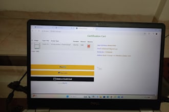 develop web based dynamic application by asp dot net core , react and sql server