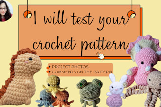 test your written crochet pattern and send you photos with comments